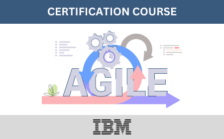 IBM Blue API Certification Course